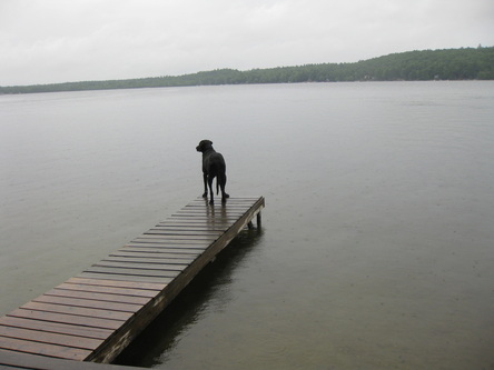 P2 Water System Management in vermont and new hampshire